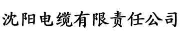 亚洲香蕉午夜影院电缆厂logo